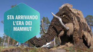 Jurassic Park diventa realtà: i mammut ci salveranno