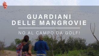 Contro un campo da golf per salvare le mangrovie